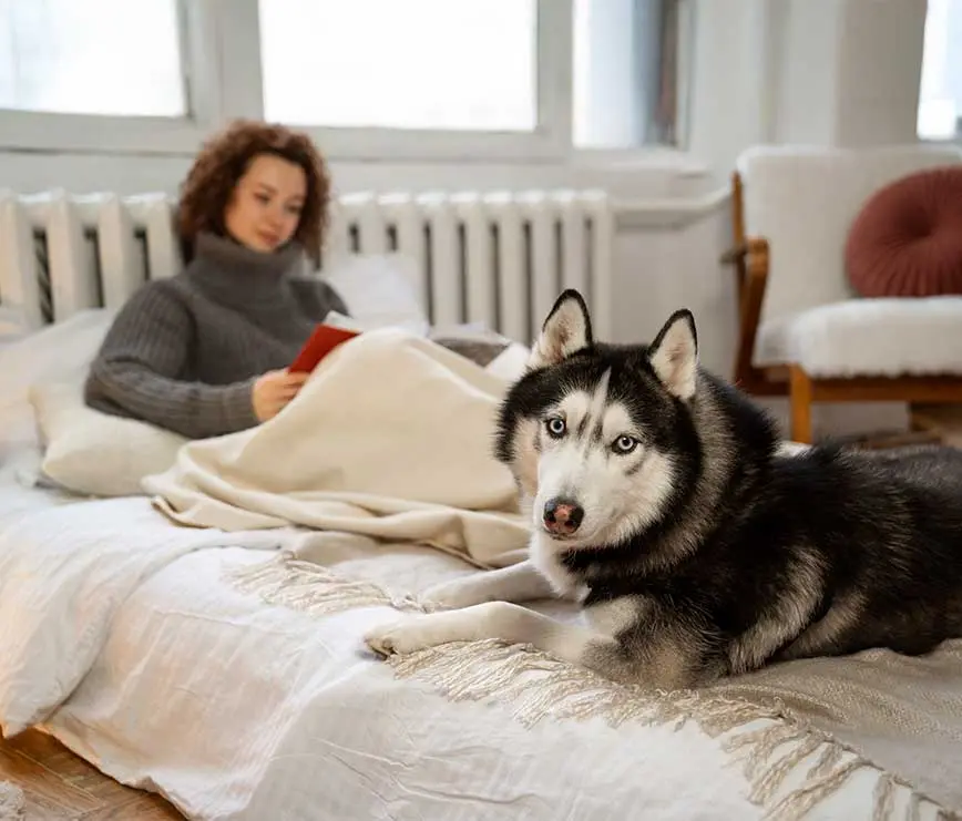 Frau liest auf dem Bett neben warmem Heizkörper – Husky genießt die behagliche Wärme im Raum.